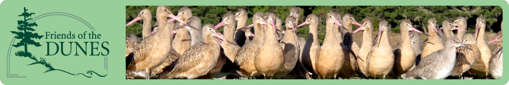 Friends of the Dunes