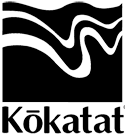Kokatat