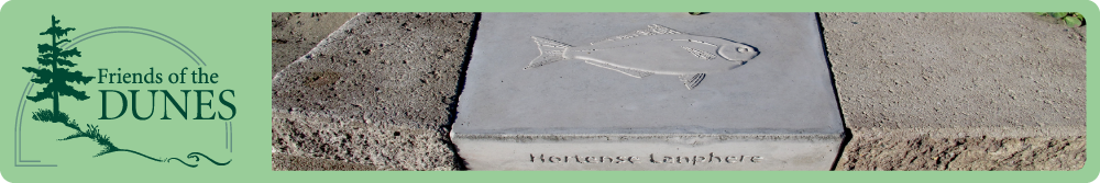 Friends of the Dunes