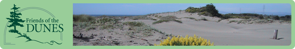 Friends of the Dunes