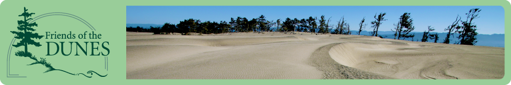 Friends of the Dunes