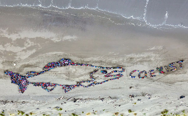 Ocean Day 2011