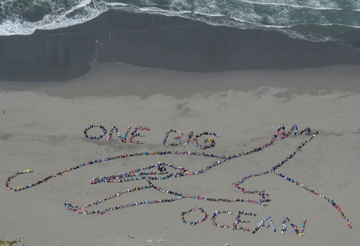 Ocean Day 2014