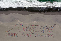 Ocean Day Archive
