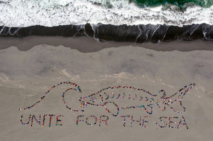 Ocean Day 2015
