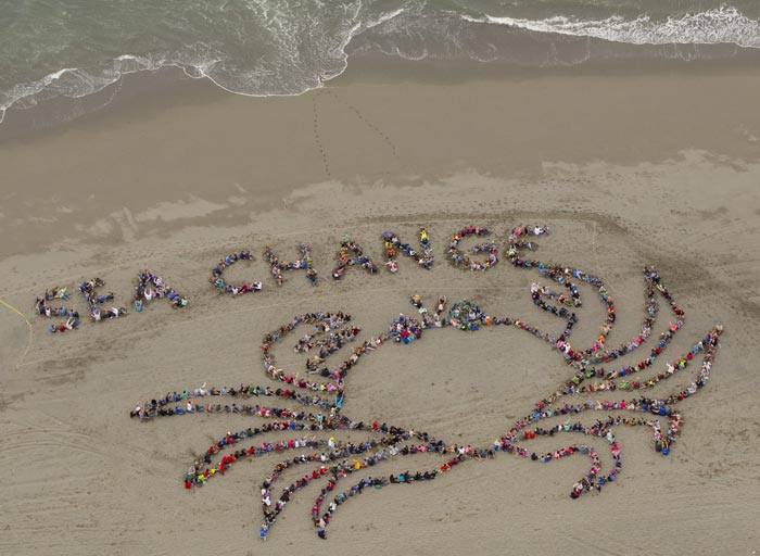 Ocean Day 2016