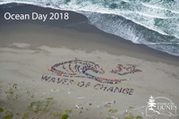 Ocean Day Archive